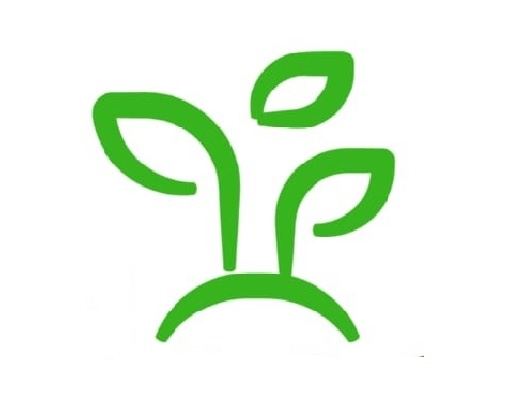 Feed a Seed – Cannabis Seed Bank South Africa