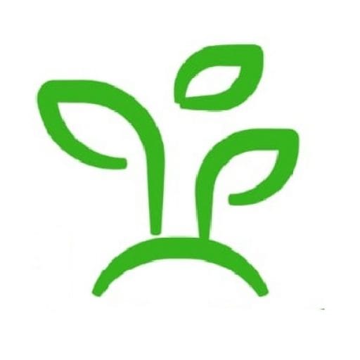 Feed a Seed – Cannabis Seed Bank South Africa