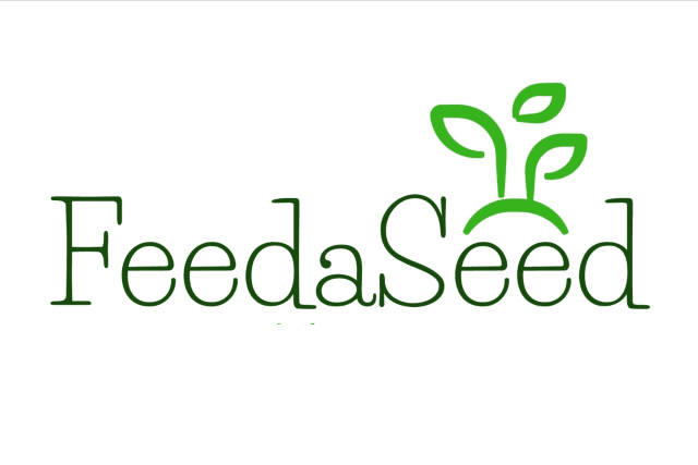 Feed a Seed – Cannabis Seed Bank South Africa