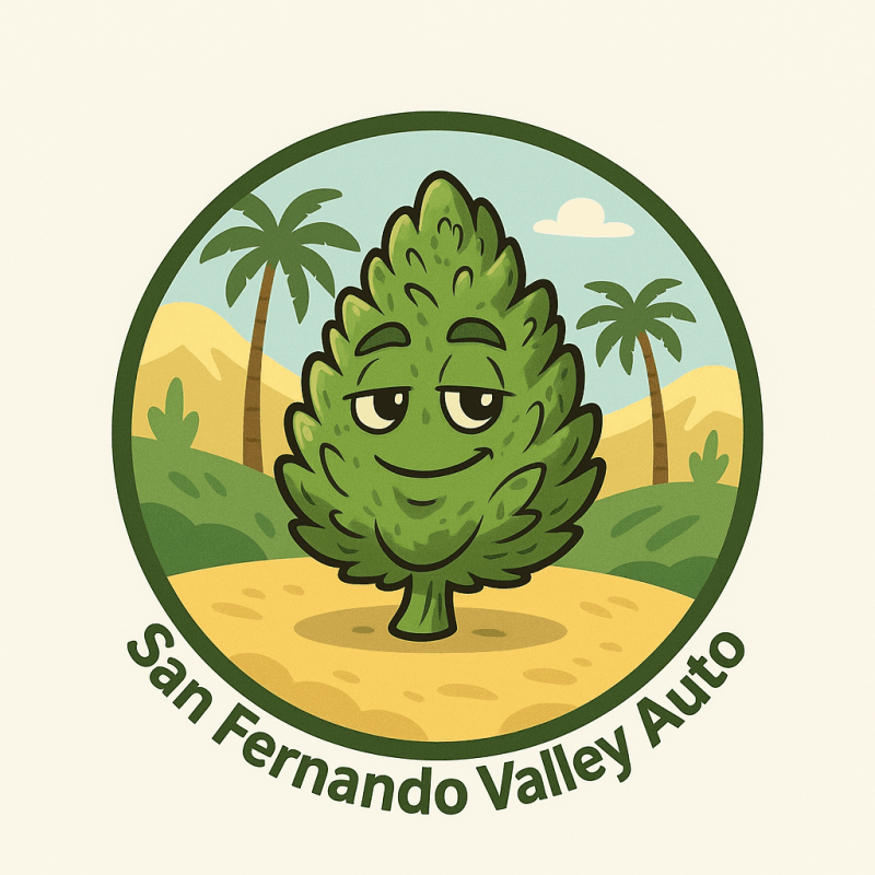 San Fernando Valley Auto