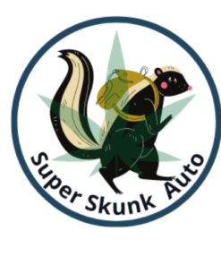 Super Skunk Auto-Flowering Cannabis Seeds