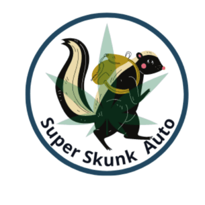Super Skunk Auto-Flowering Cannabis Seeds