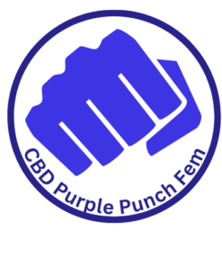 CBD Purple Punch Feminized Cannabis Seeds