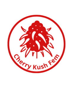 Cherry Kush Feminized Cannabis Seeds