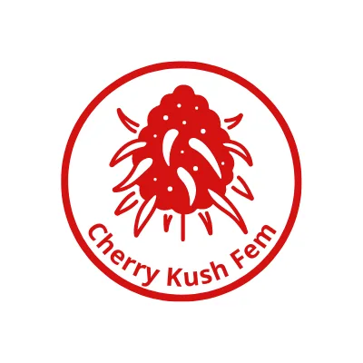 Cherry Kush Feminized Cannabis Seeds
