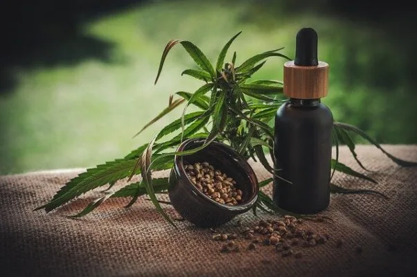 Latest Cannabis Laws South Africa 2023