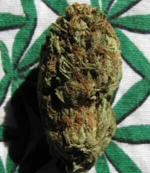 SkyWalker OG Feminized Cannabis Seeds