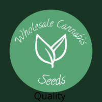 Wholesale Cannabis Seeds - South Africa