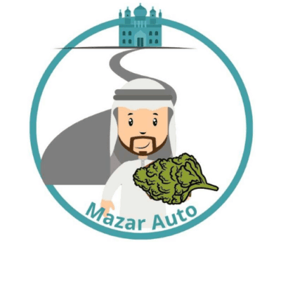 Mazar Auto-Flowering Cannabis Seeds