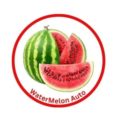 WaterMelon Auto-Flowering Cannabis Seeds