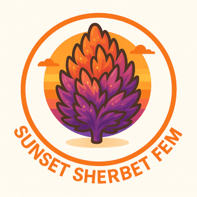 Buy Sunset Sherbet Feminized Cannabis Seeds on Sale