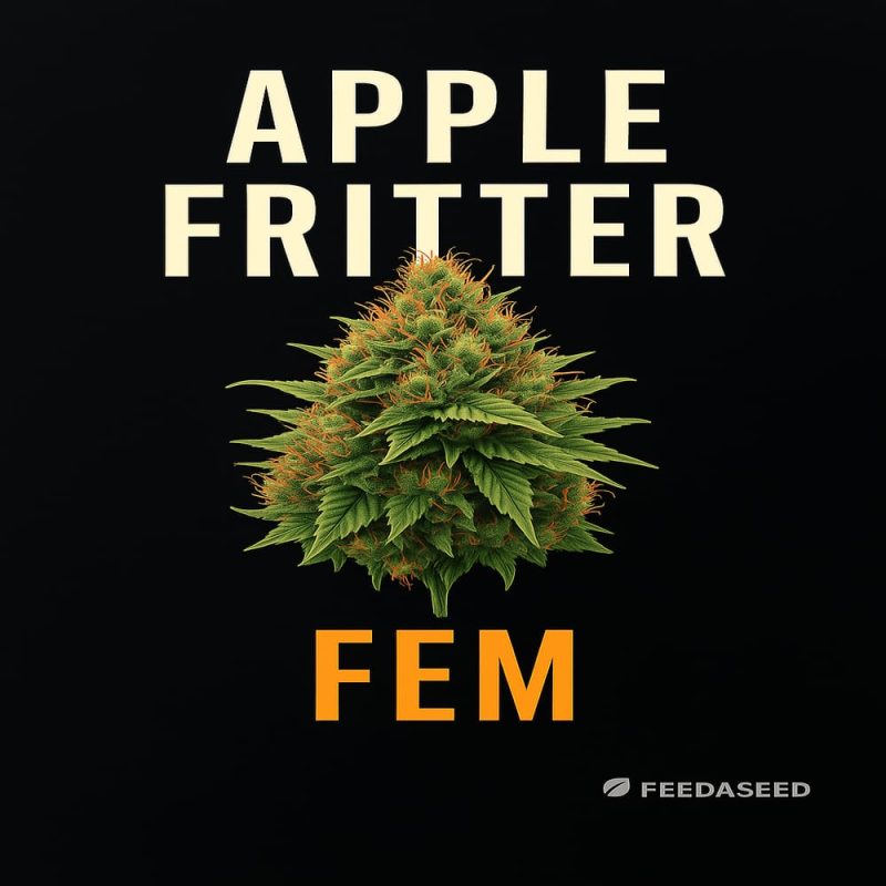 Buy Apple Fritter Feminized Seeds on Sale