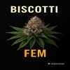 Buy Biscotti Feminized Cannabis Seeds on Sale