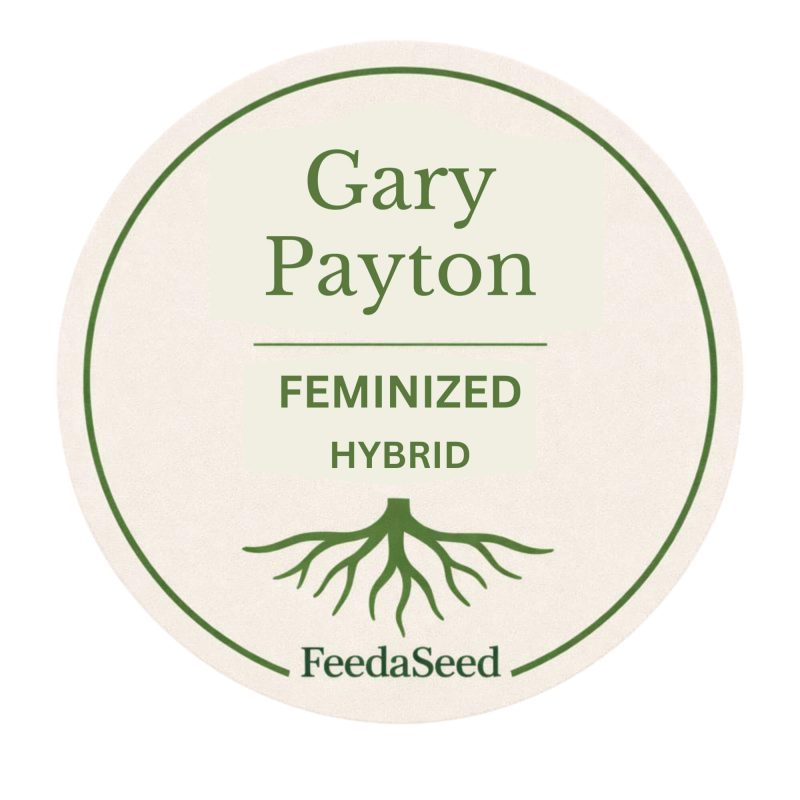 gary payton fem cannabis seeds