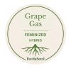 grape gas fem cannabis seeds