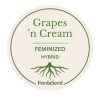 Grapes-n-Cream-Cannabis-Seeds