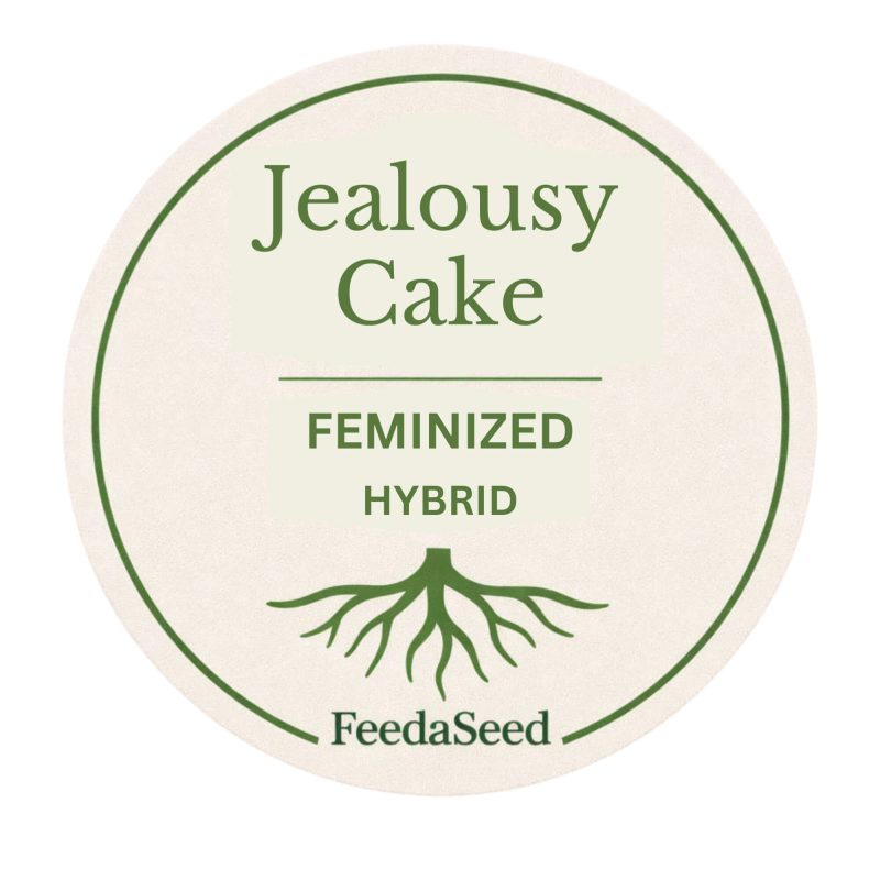 Jealousy-Cake-Cannabis-Seed