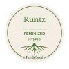 Runtz-Cannabis-Seed