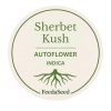 Sherbet-Kush-Cannabis-Seeds