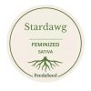 Stardawg-Cannabis-Seed