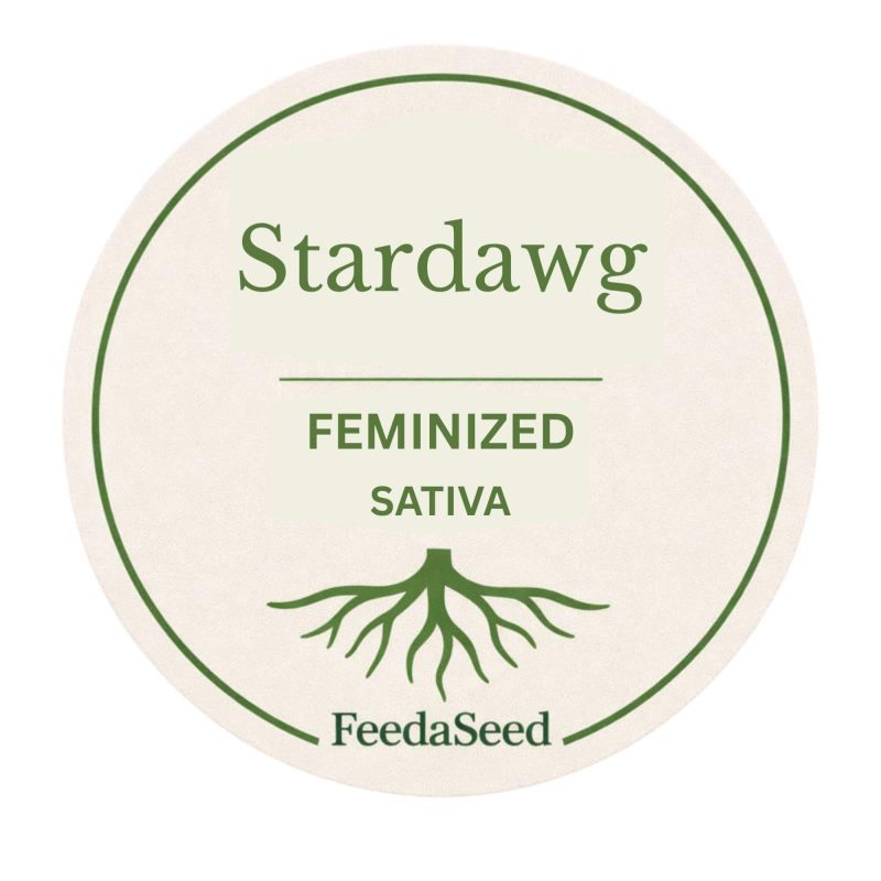 Stardawg-Cannabis-Seed